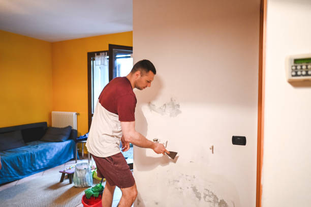 Best Affordable Mold Removal  in Rio Bravo, TX